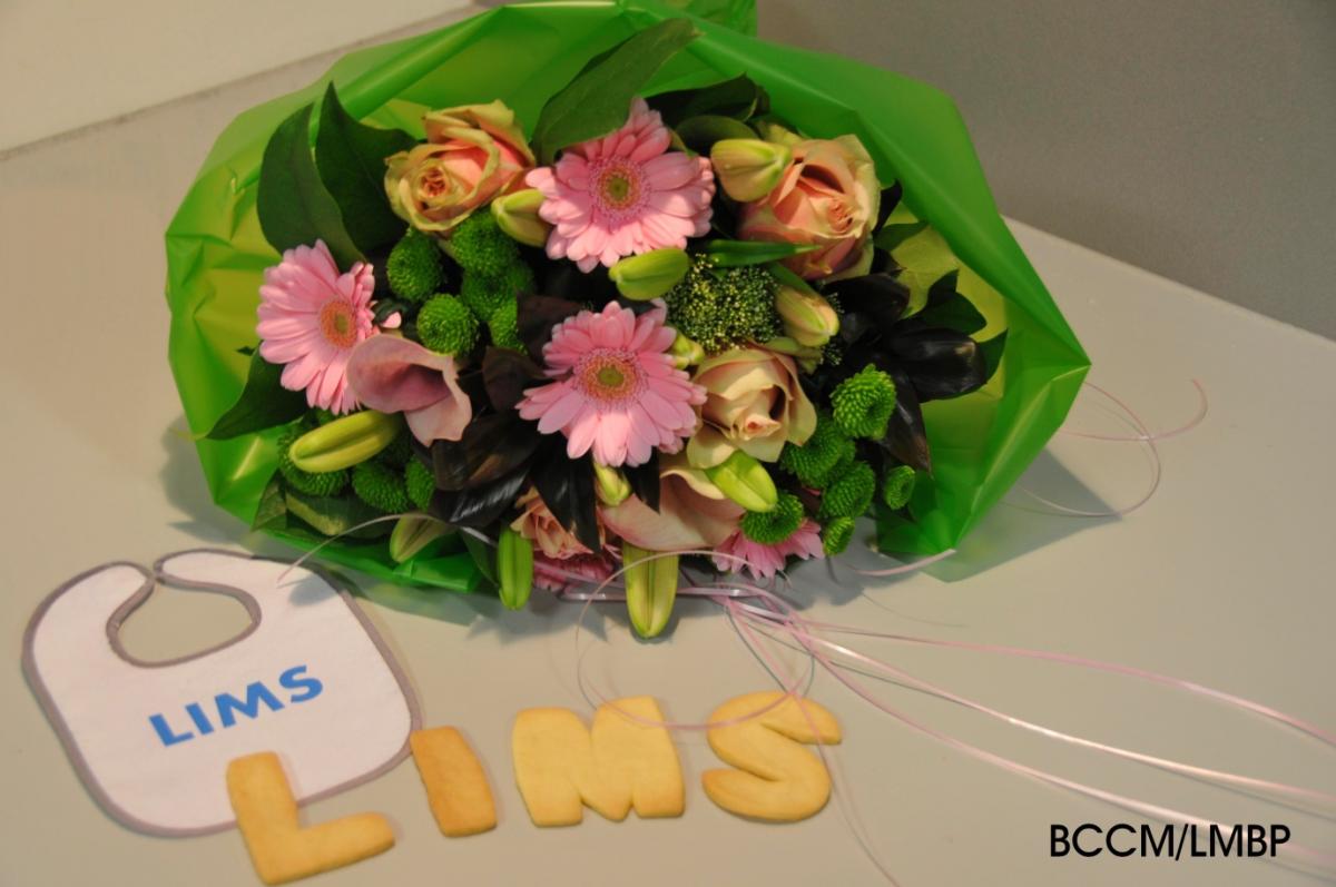 BCCM celebrates the go-live of a common Laboratory Information Management System LIMS